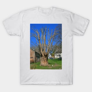 The Martyr's Tree T-Shirt